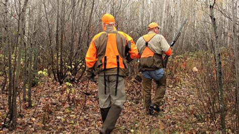 hunting .